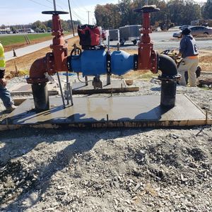 Meet your Posher, Dante